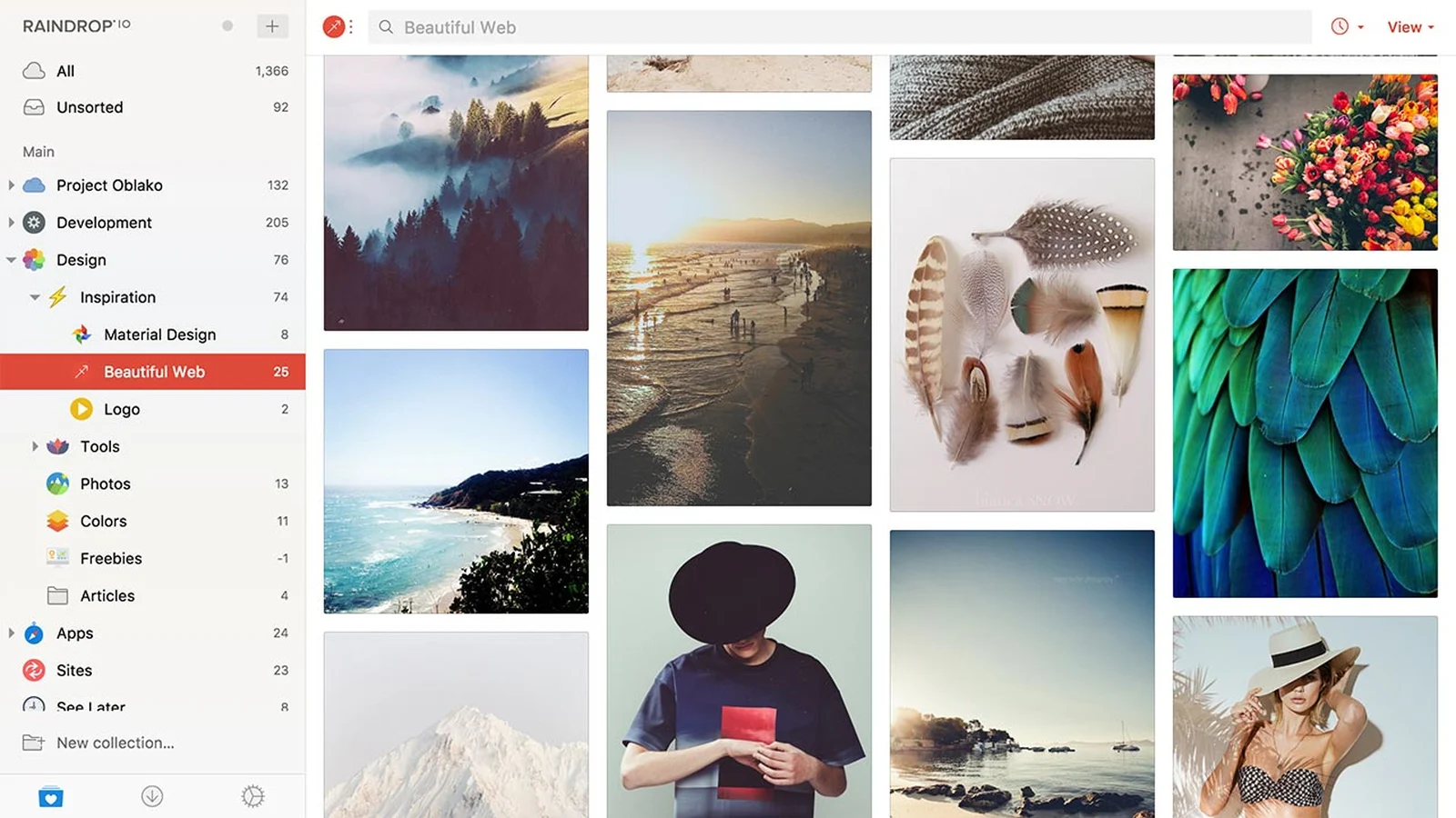 Raindrop.io bookmark manager showing nested collections in the sidebar and a grid of saved image bookmarks