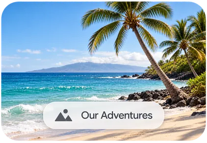 A tropical photo with an Our Adventures watermark