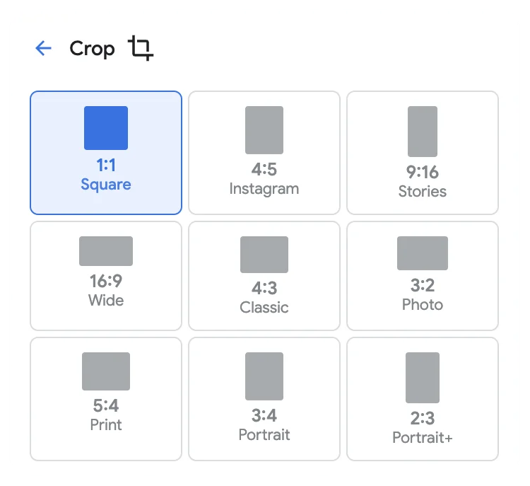 Auto Crop interface preview.