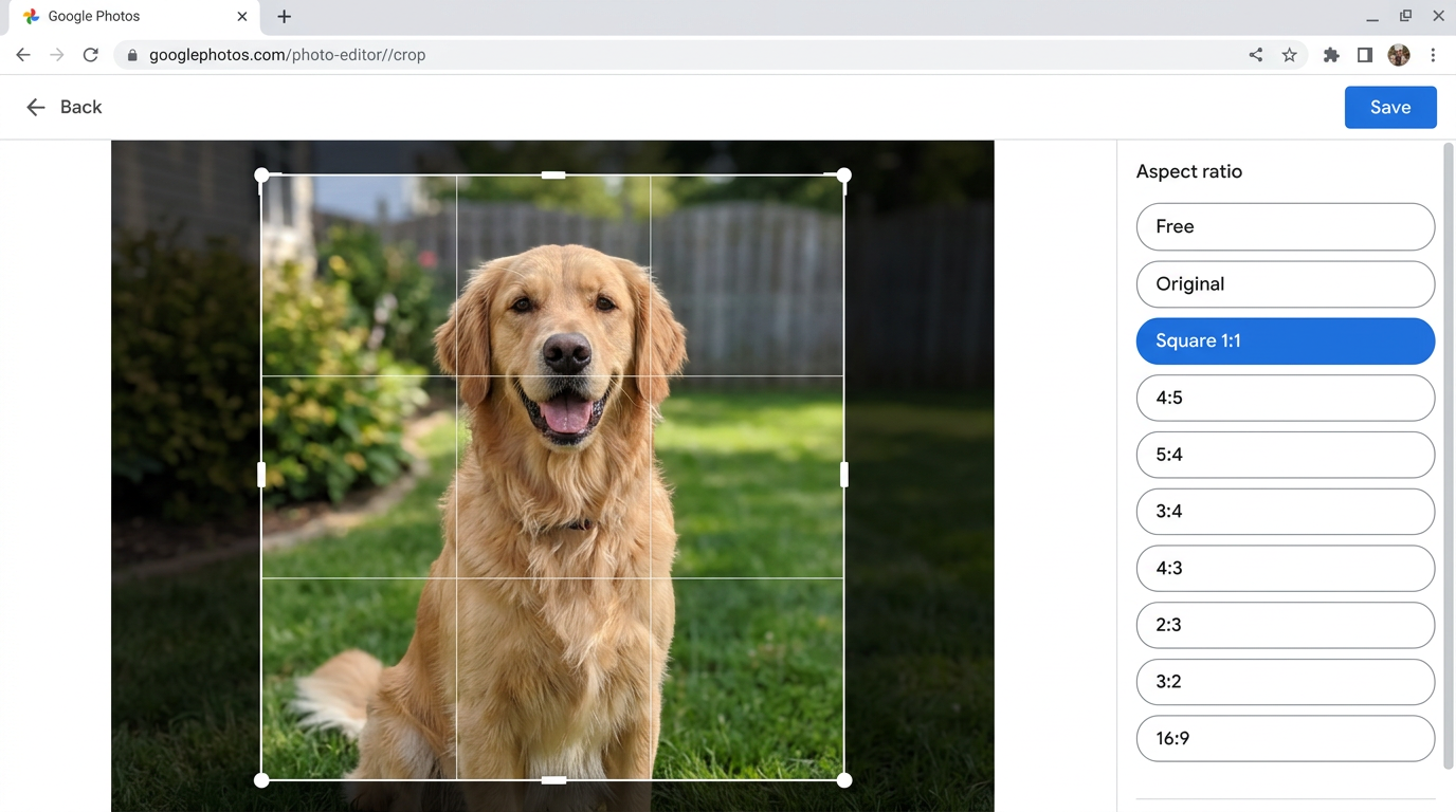 The Google Photos crop tab with aspect ratio presets and a photo being cropped to 1:1.