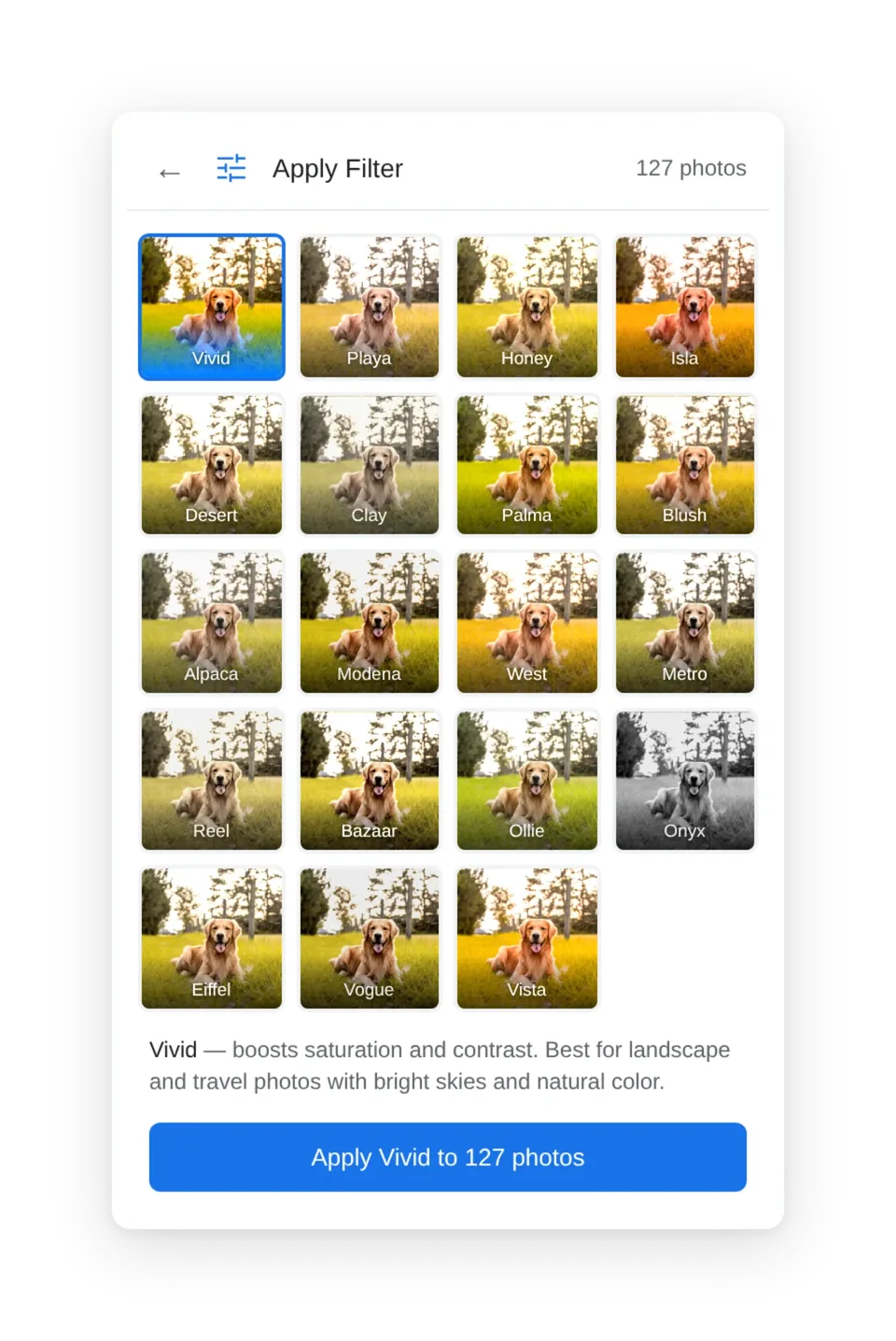 Apply Filter interface preview.