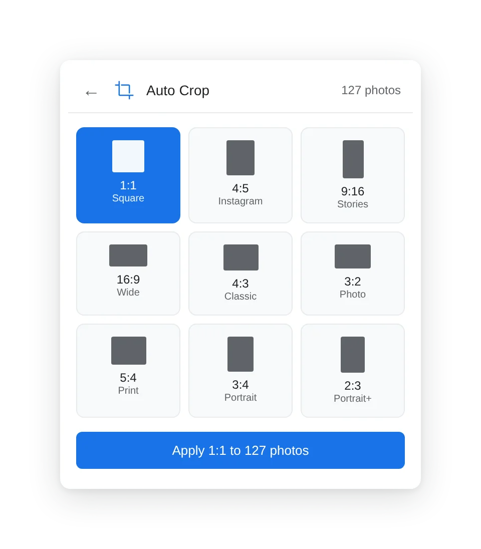 Auto Crop interface preview.